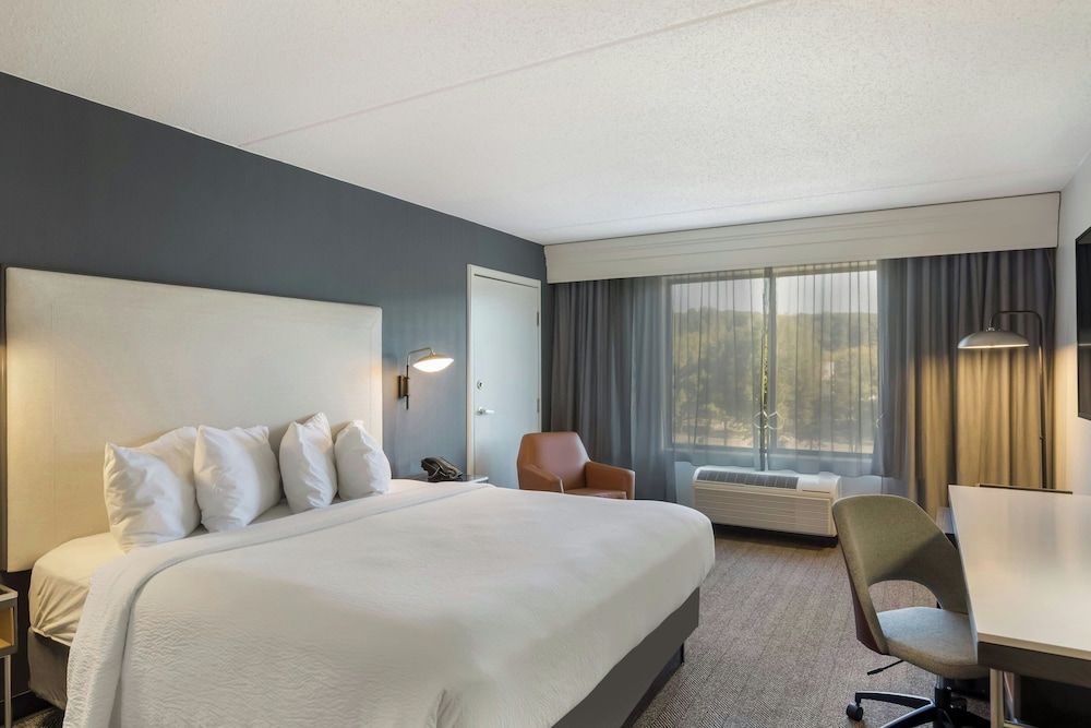 Room, 1 King Bed with Sofa bed