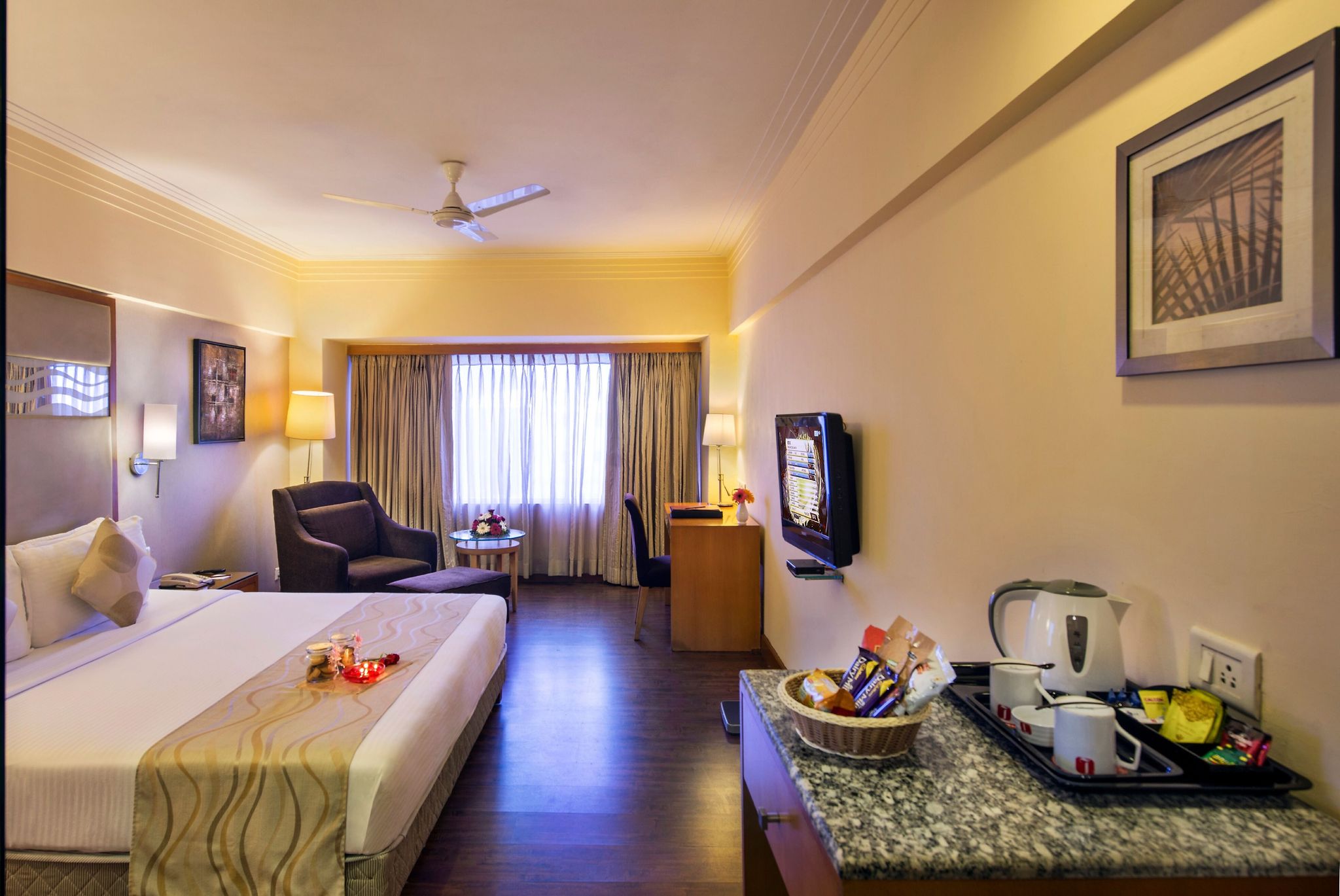 Lords Plaza Ankleshwar Deluxe 4