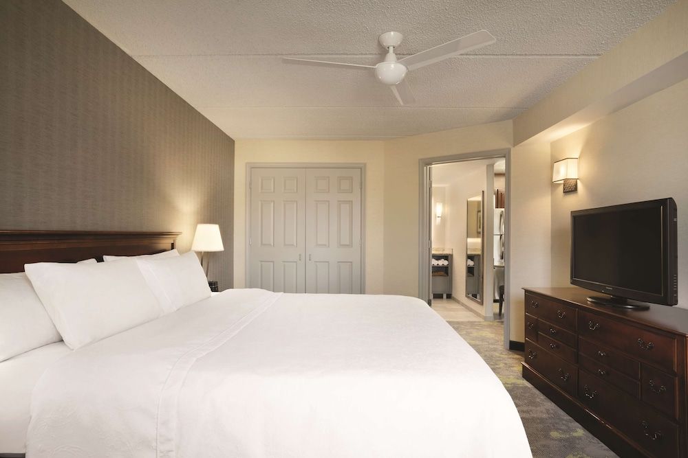 Deluxe Suite, 1 King Bed with Sofa bed, Kitchen