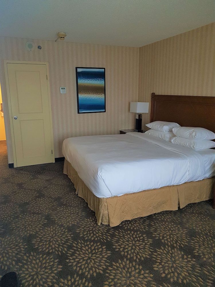 DoubleTree by Hilton Hotel London Ontario Room, 1 Double Bed, Accessible, Non Smoking 2