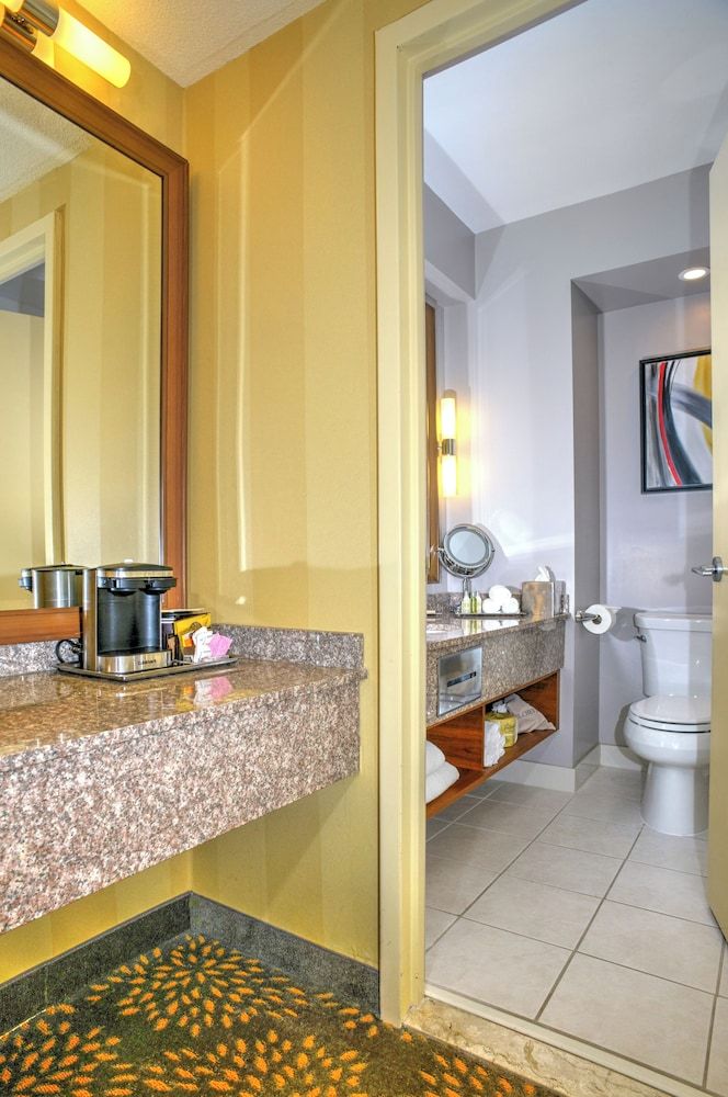 Suite, 1 King Bed