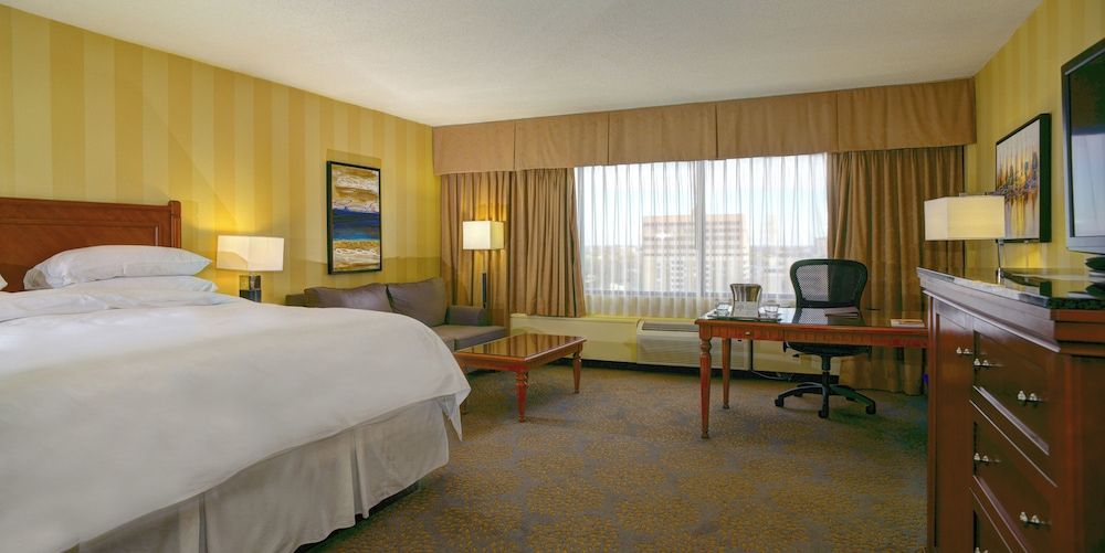 Suite, 1 King Bed