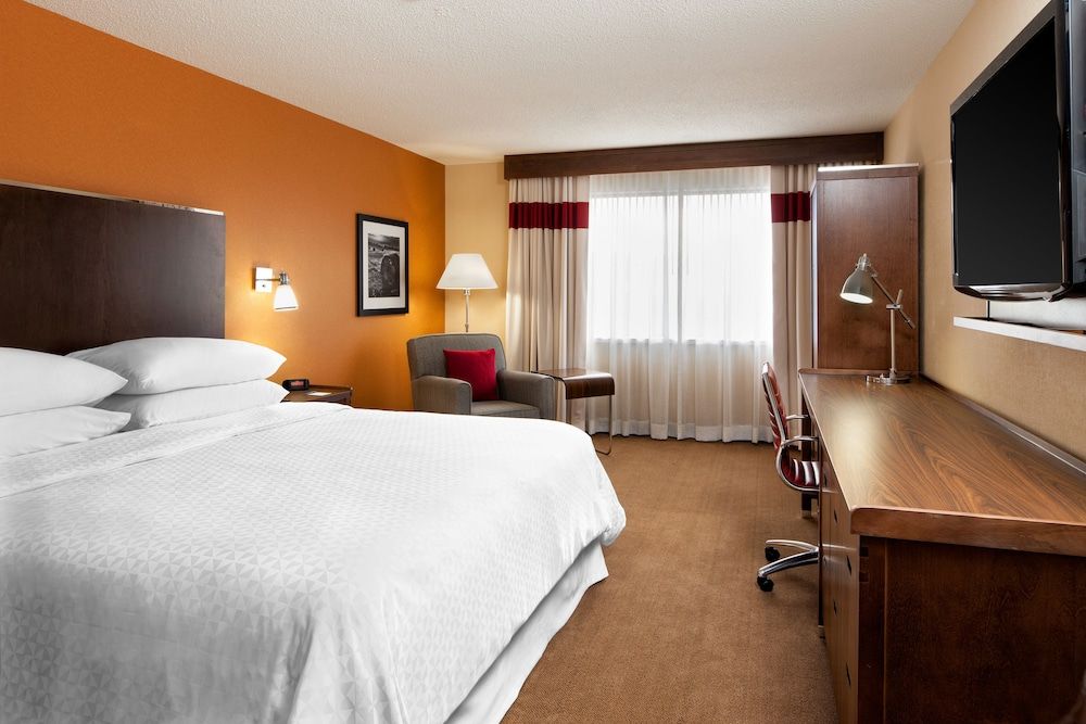Executive Suite, 1 King Bed