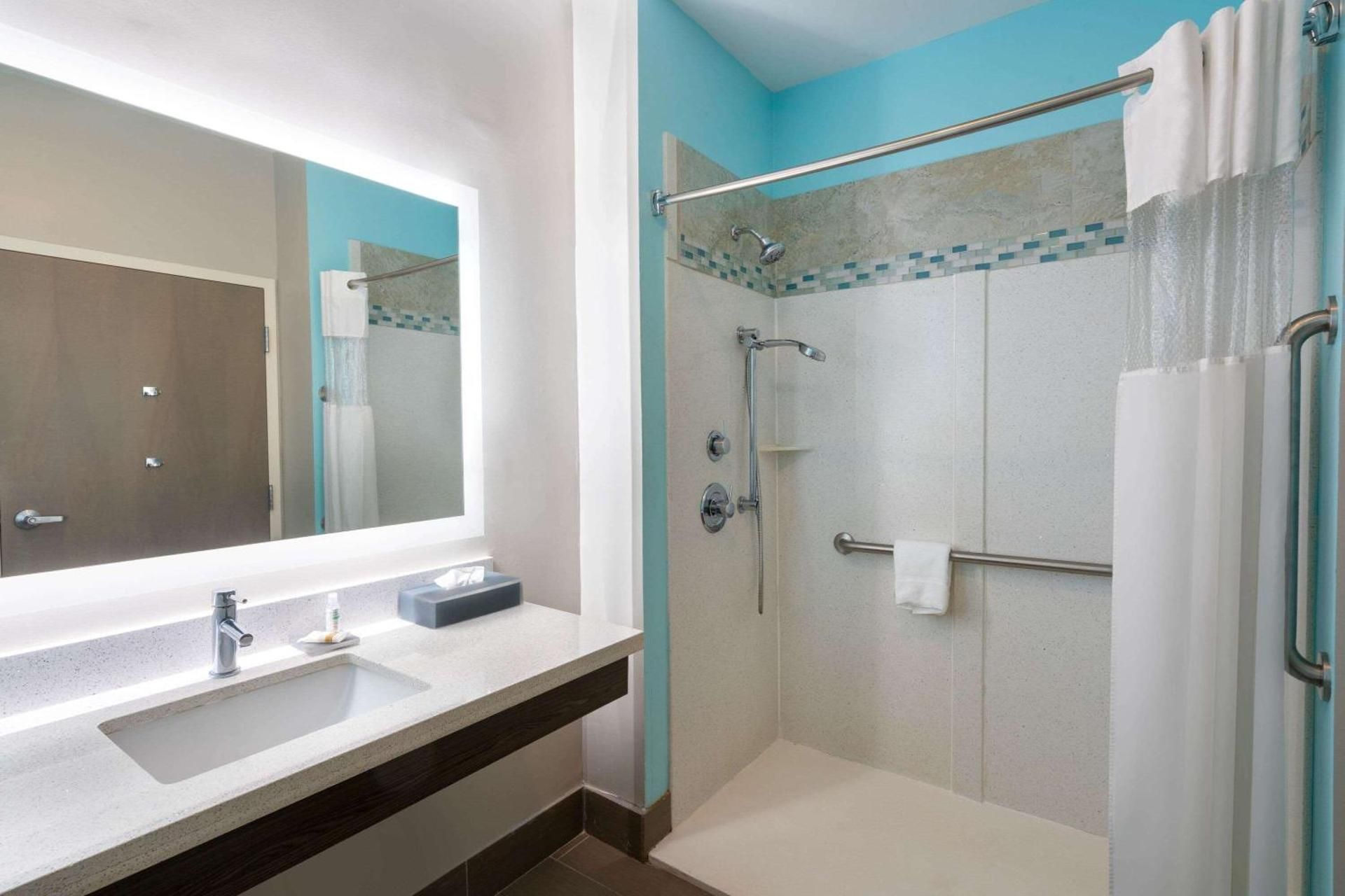 1 King Bed, Mobility Accessible Room, Roll-In Shower, Non-Smoking