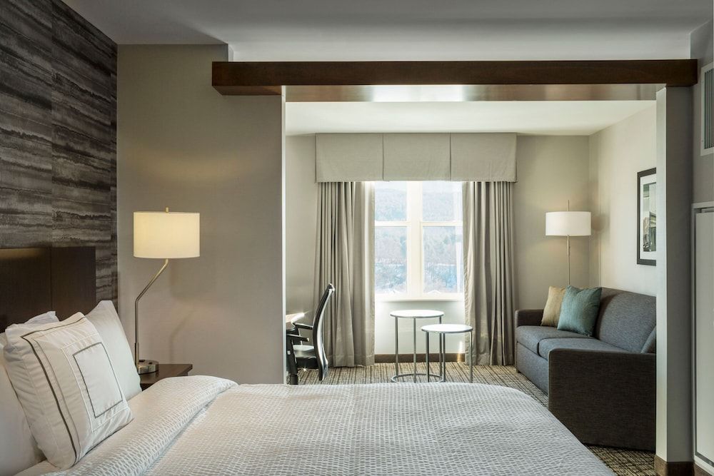 Studio, 1 King Bed with Sofa bed