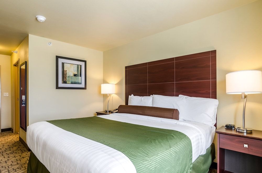 Room, 1 King Bed, Accessible (Tub and Bench Seat)