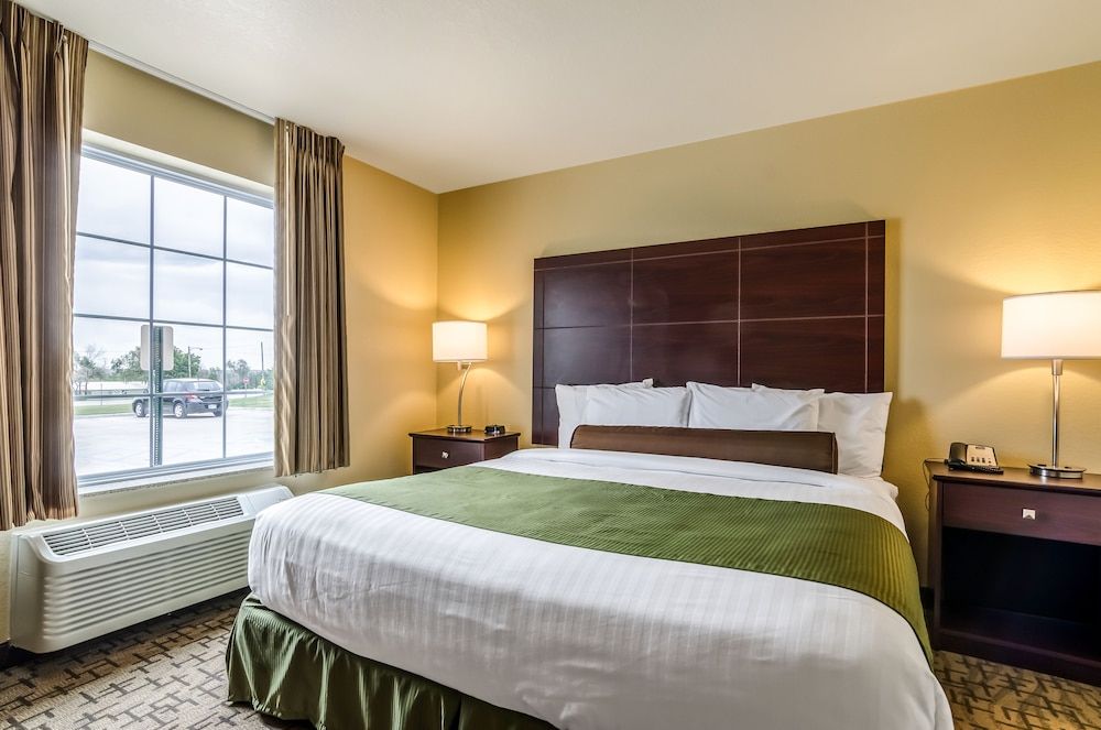 Room, 1 King Bed, Non Smoking