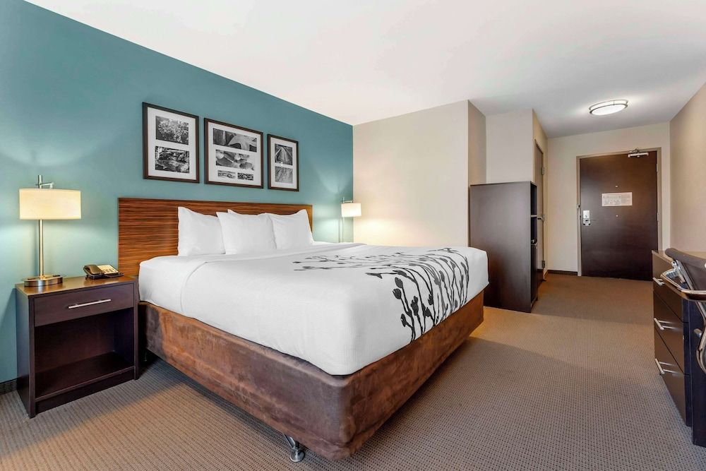 Room, 1 King Bed, Accessible Bathtub, Non Smoking