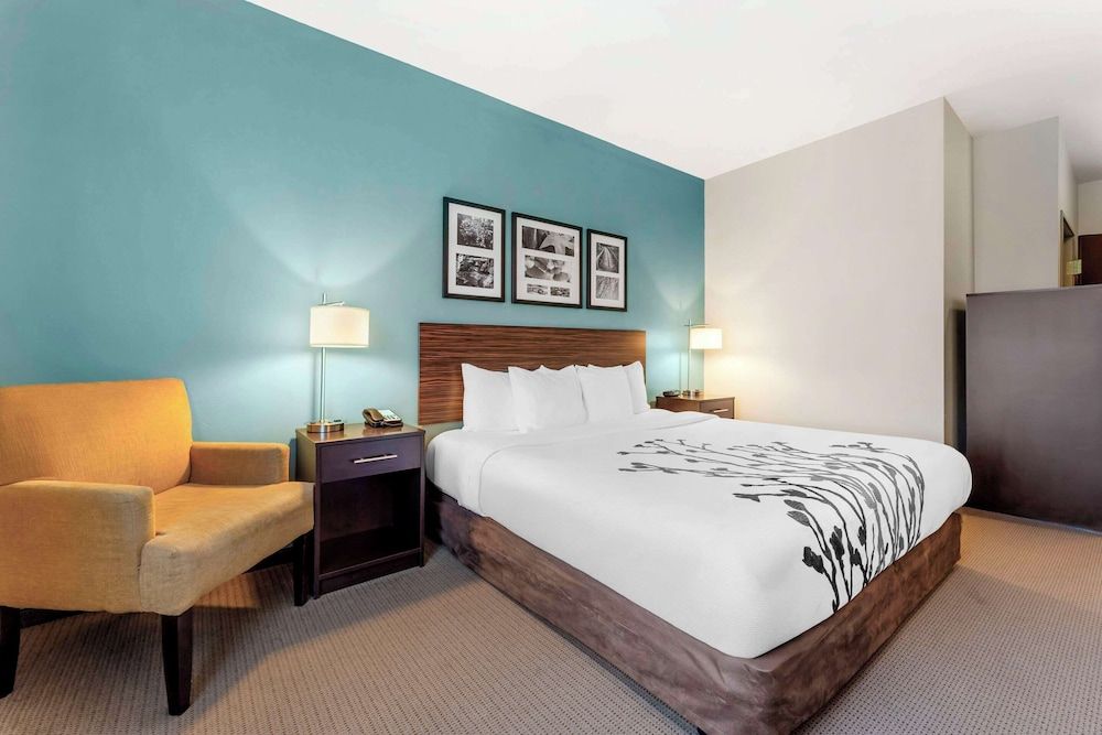 Room, 1 King Bed, Hearing Accessible, Non Smoking