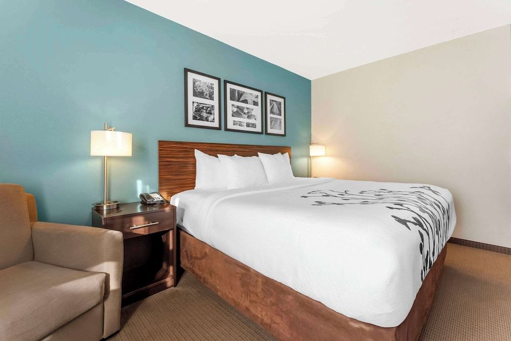 Standard Room, 1 King Bed, Non Smoking