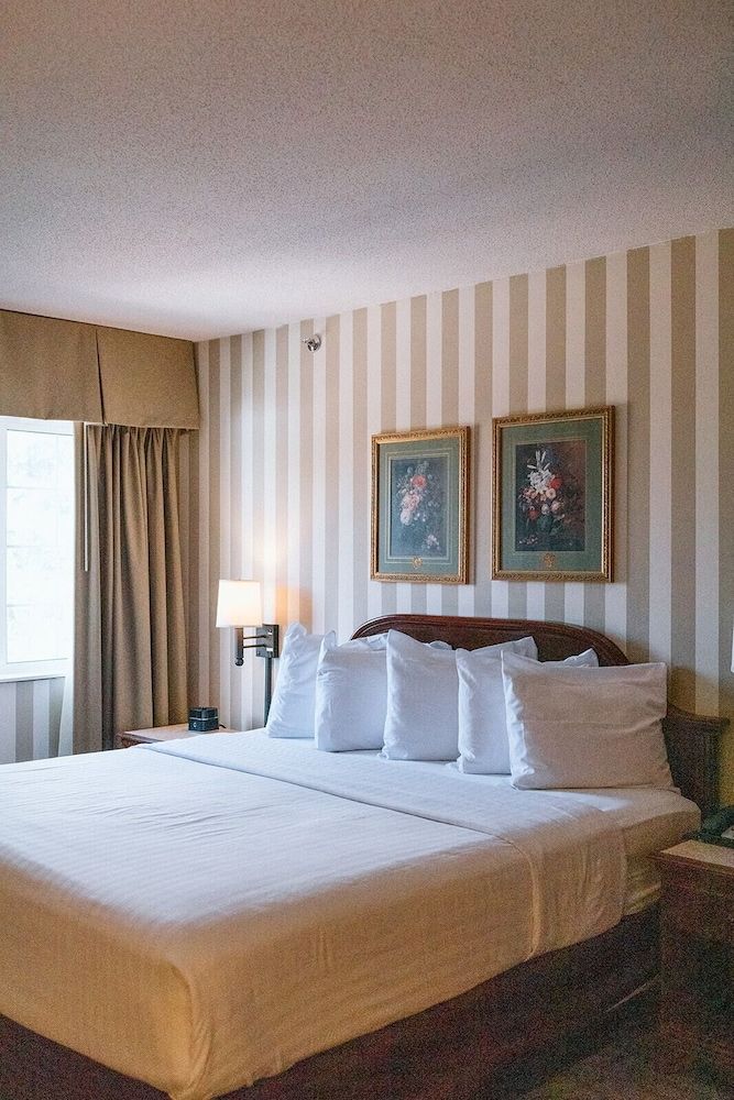 Bayshore Resort Suite- Bay View – 1 King 5