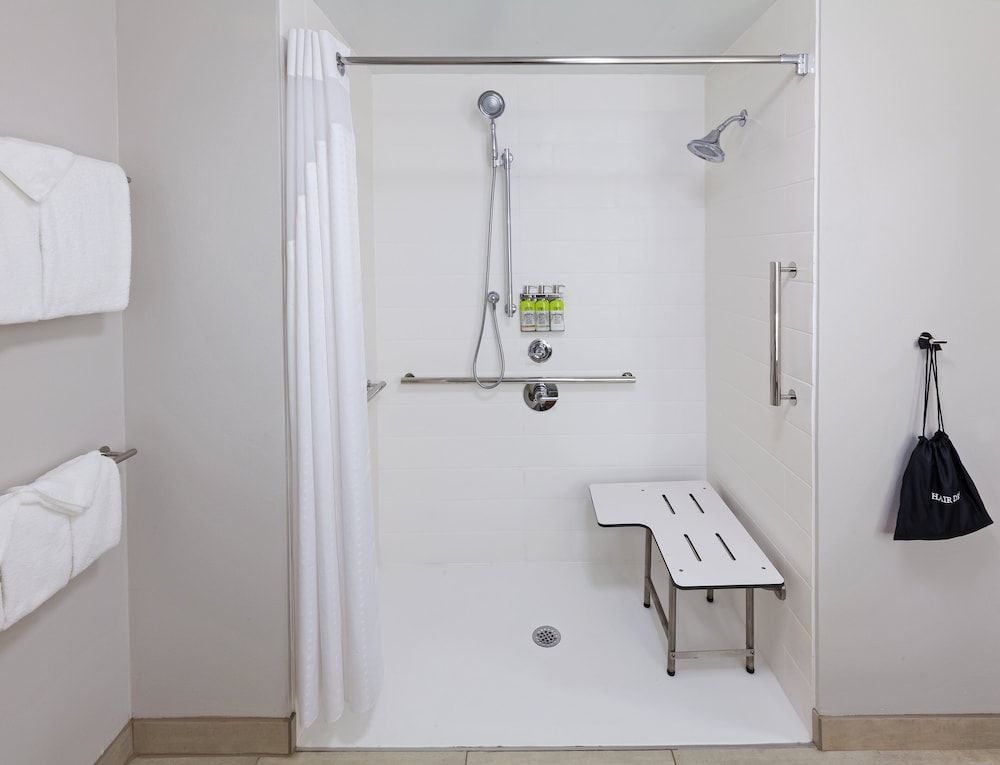 Standard Room, 1 King Bed, Accessible (Mobility Roll-In Shower)