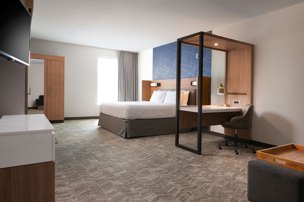 Suite, 1 King Bed with Sofa bed, Non Smoking