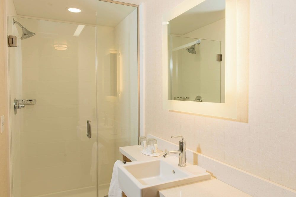 Suite, 1 King Bed with Sofa bed