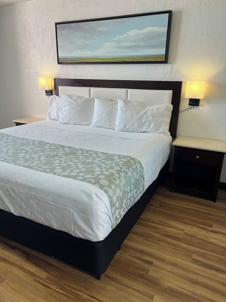 Flamingo Inn Beachfront Partial Ocean View, 1 King Bed with Kitchenette 2