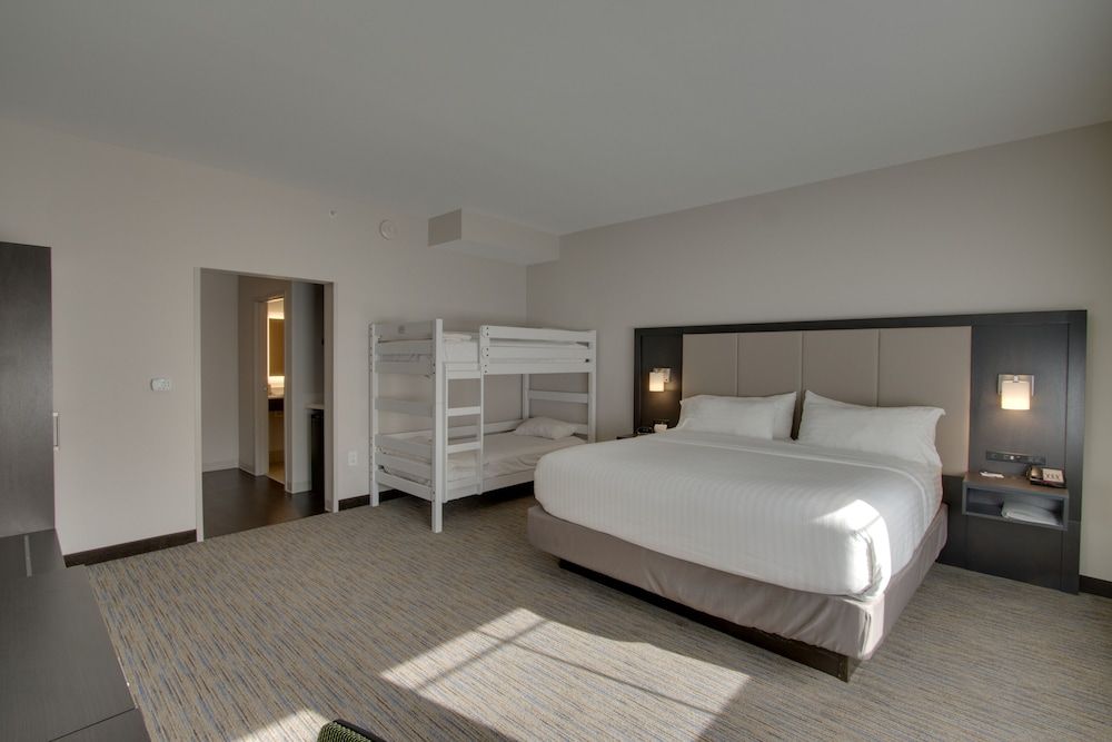 Room, 1 King Bed, Accessible (Roll-In Shower)