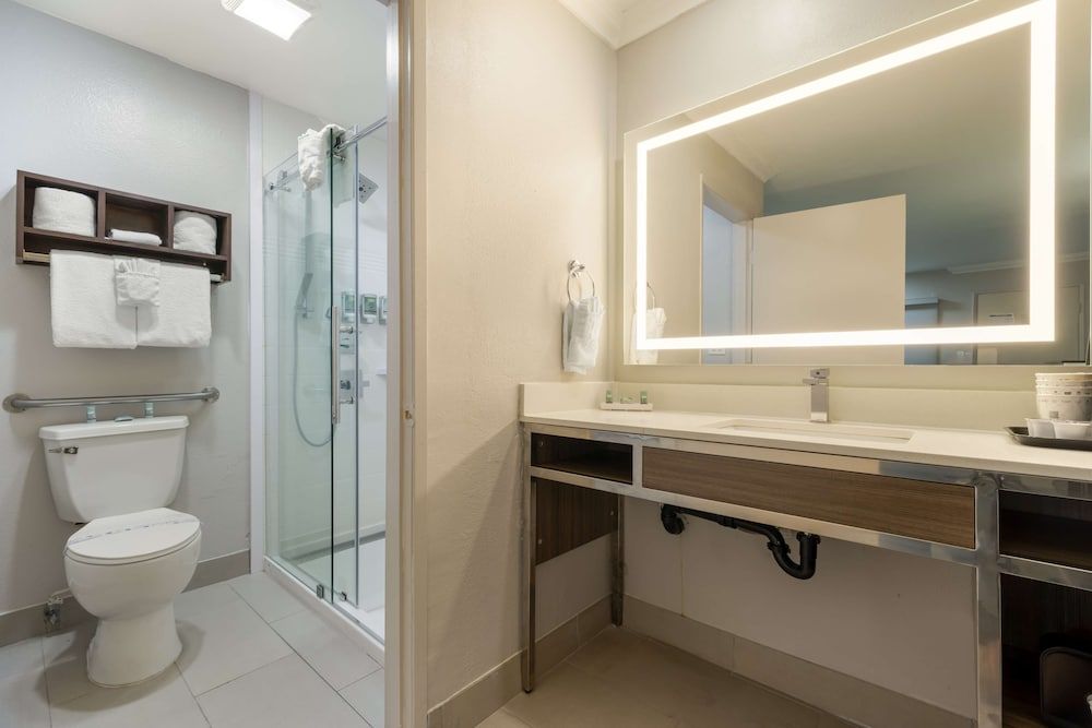 undefined Best Western Courtesy Inn Hotel - Anaheim Resort at the Park 9