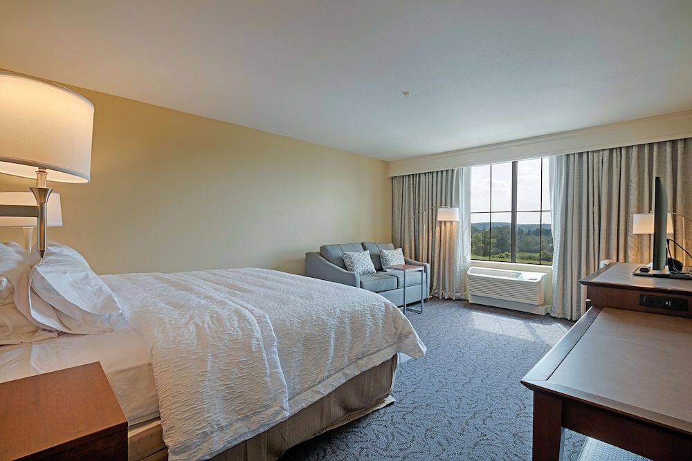 Room, 1 King Bed with Sofa bed, Non Smoking, Refrigerator