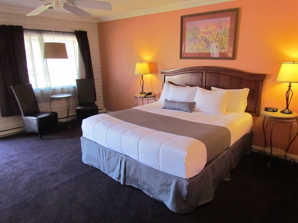 Standard Room, 1 King Bed, Mountain View
