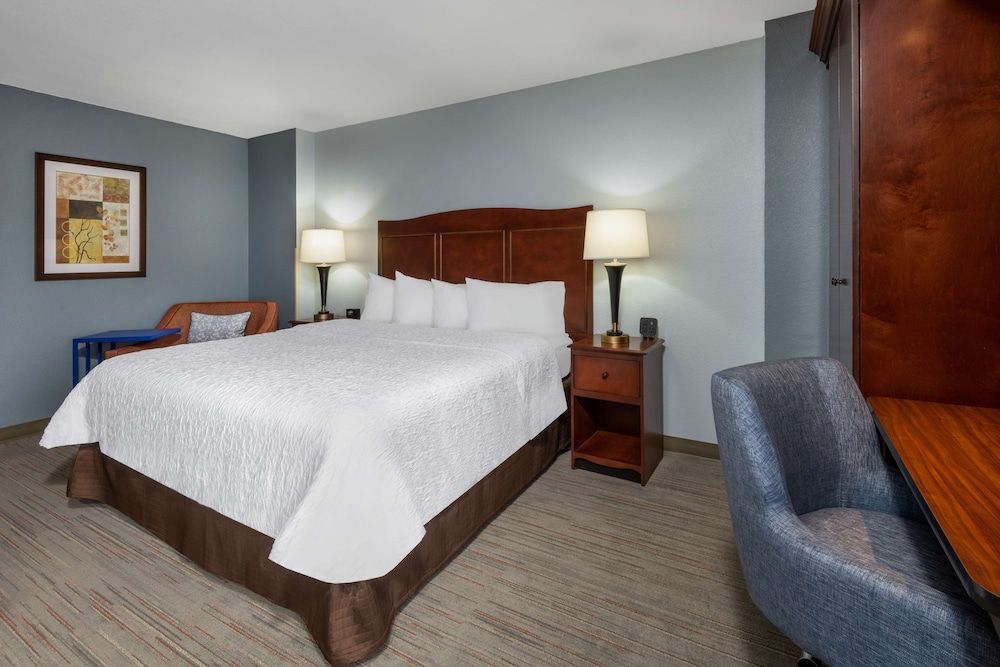 Hampton Inn Denver-International Airport Room, 1 King Bed, Accessible, Non Smoking 2