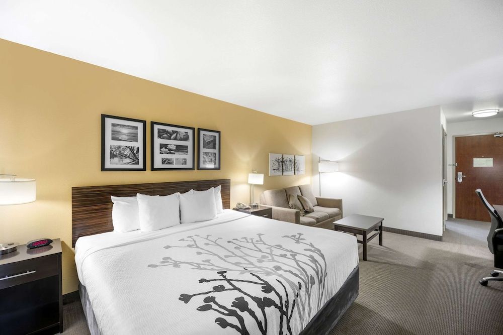 Suite, 1 King Bed with Sofa bed, Accessible, Non Smoking