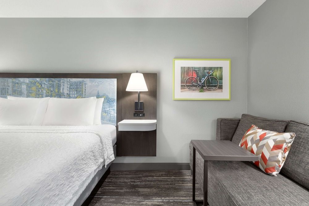 Room, 1 King Bed with Sofa bed