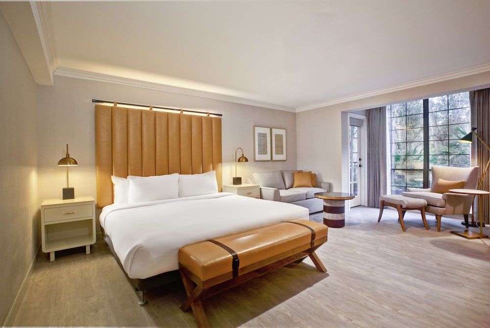 Room, 1 King Bed, Accessible, Balcony (Roll-In Shower)