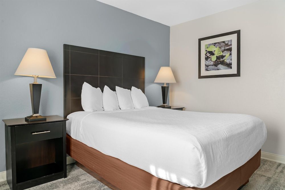 Standard Room, 1 Queen Bed, Accessible, Refrigerator & Microwave