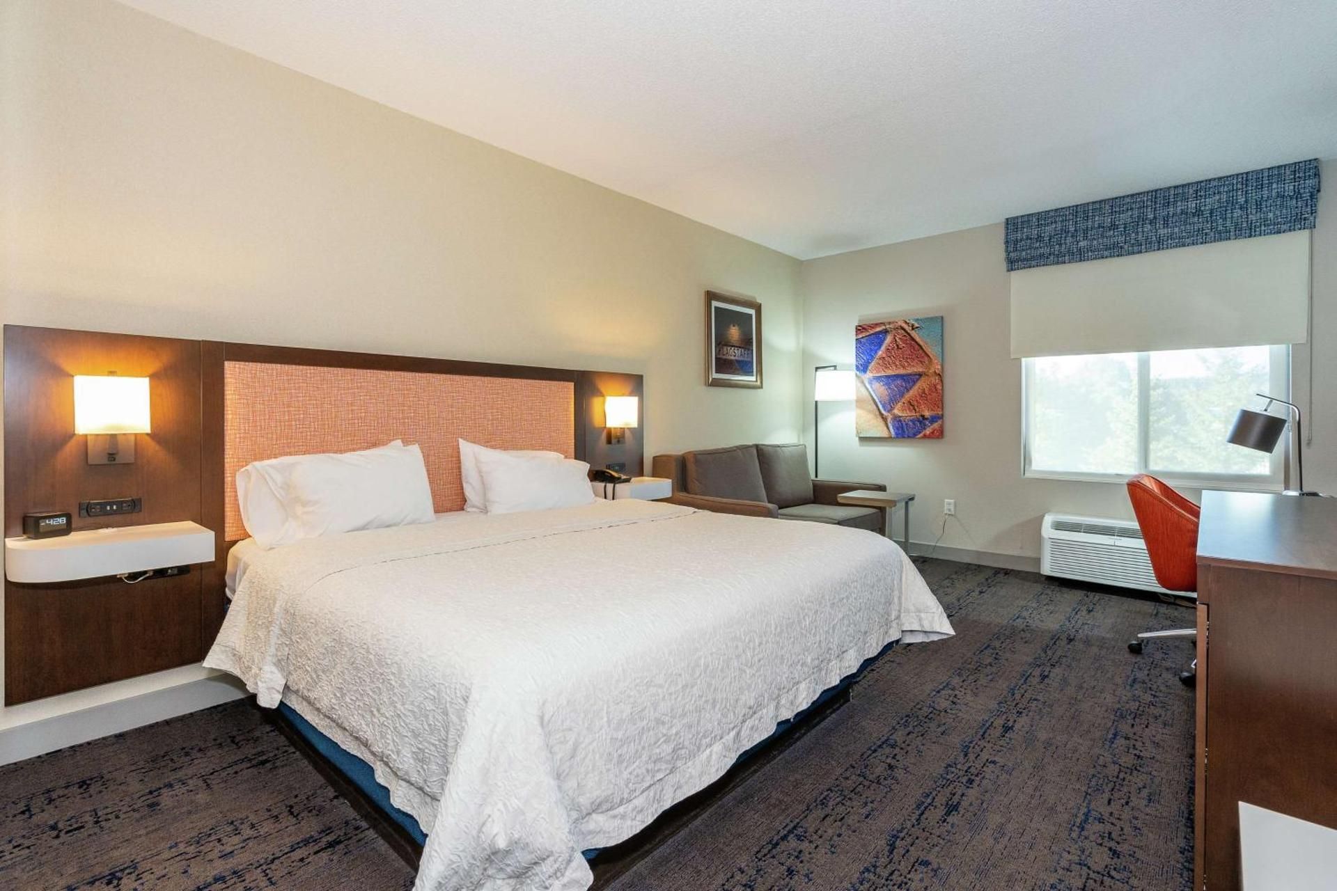 1 King Bed Nonsmoking