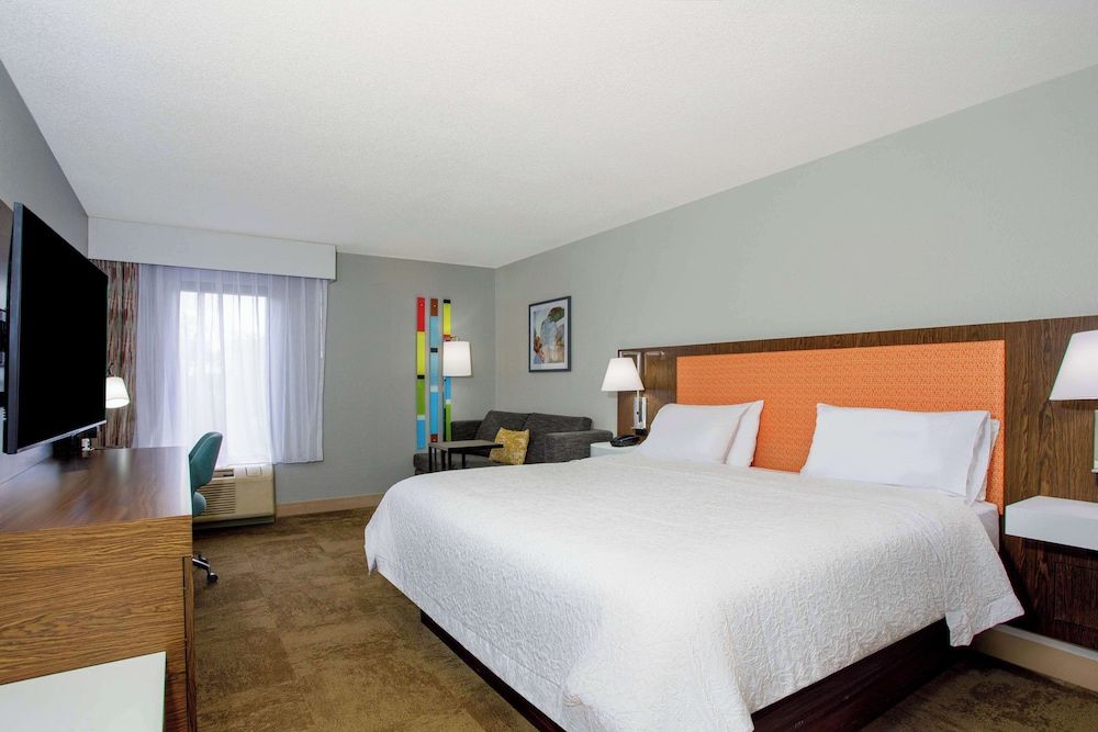 Room, 1 King Bed with Sofa bed (Shower Only)