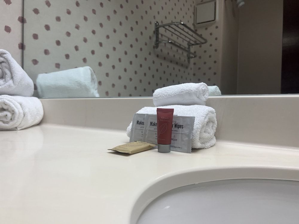 Orlando Palms Hotel Standard Single Room, Accessible 7