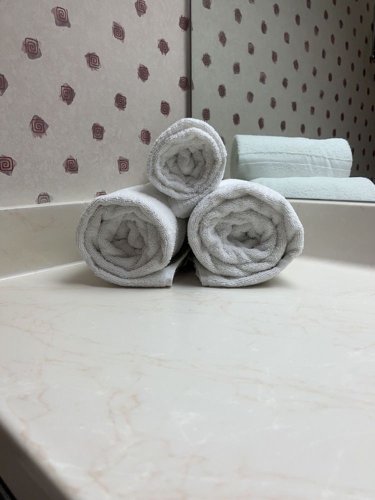 Orlando Palms Hotel Standard Single Room, Accessible 6