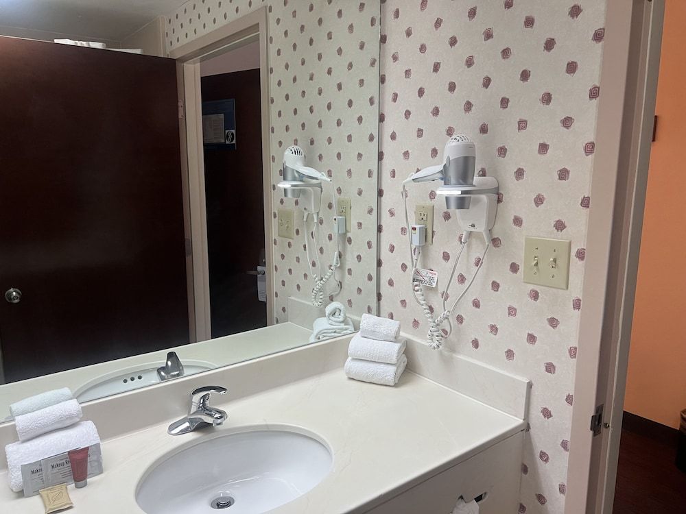 undefined Orlando Palms Hotel 10