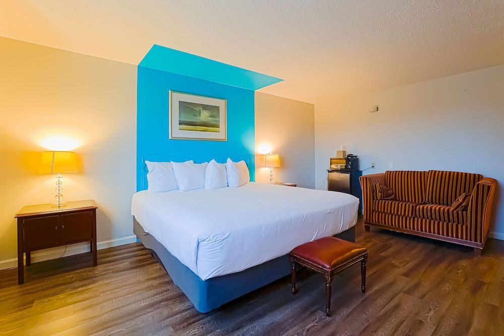 Room, 1 King Bed