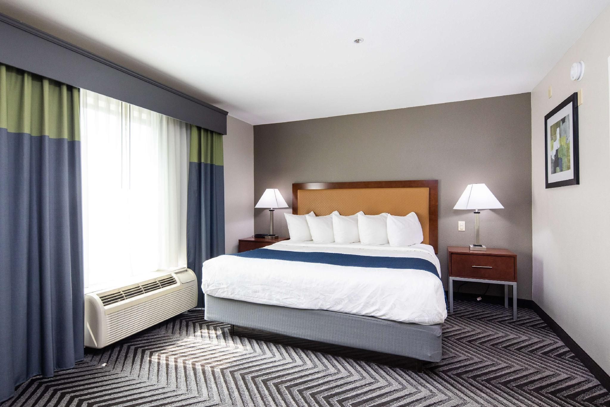 Suite-1 King Bed, Non-Smoking, Sofabed