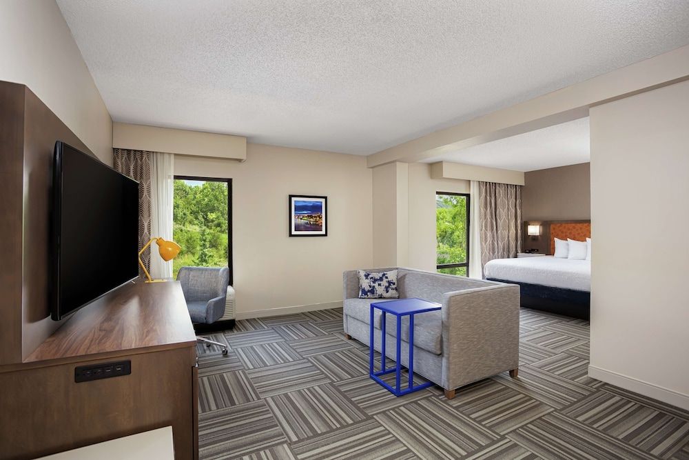 Studio Suite, 1 King Bed with Sofa bed (Microwave)