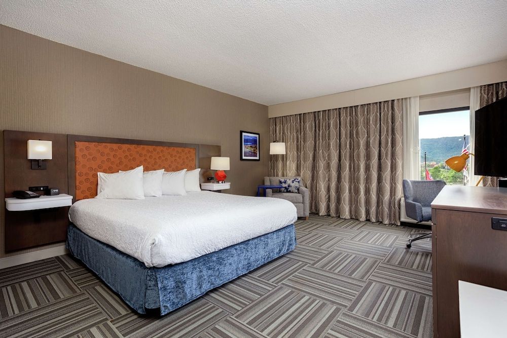 Room, 1 King Bed, Accessible, Bathtub (Mobility & Hearing)