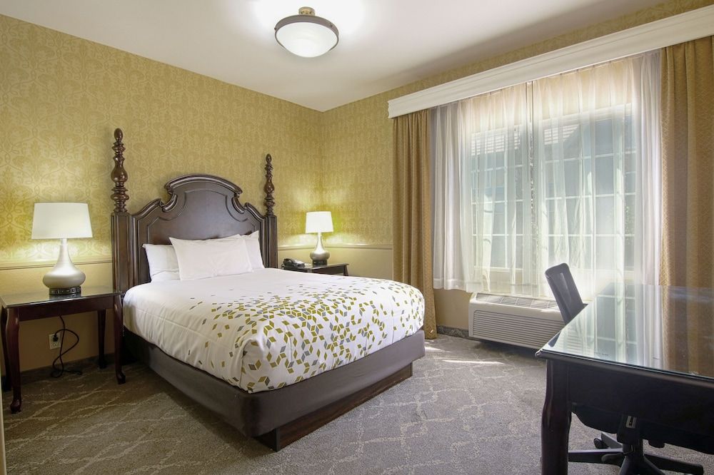 Room, 1 King Bed, Non Smoking