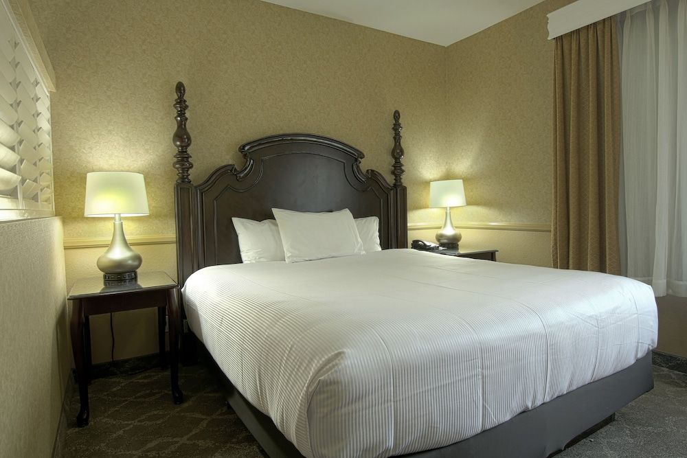 Room, 1 King Bed, Non Smoking