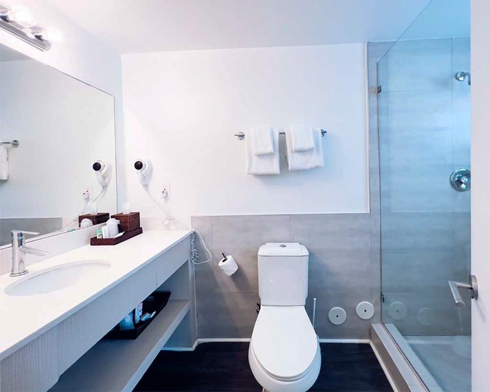 Suite, 1 Bedroom