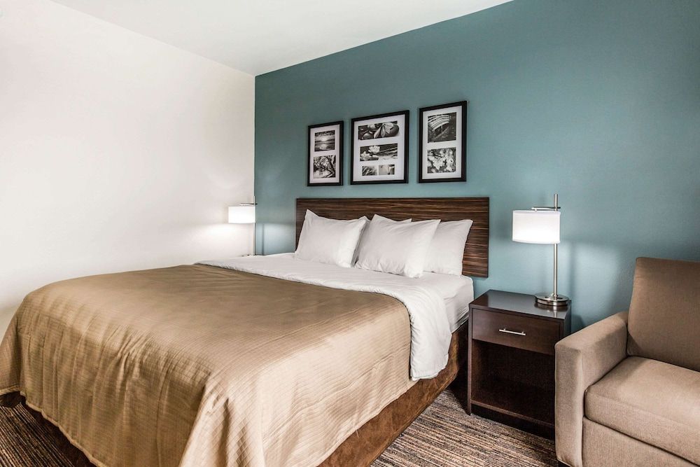 Standard Room, 1 King Bed, Non Smoking