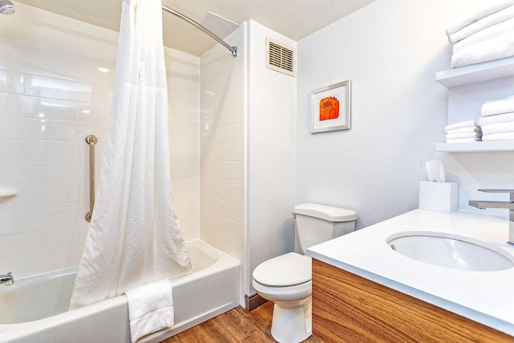 Suite, 1 King Bed, Non Smoking