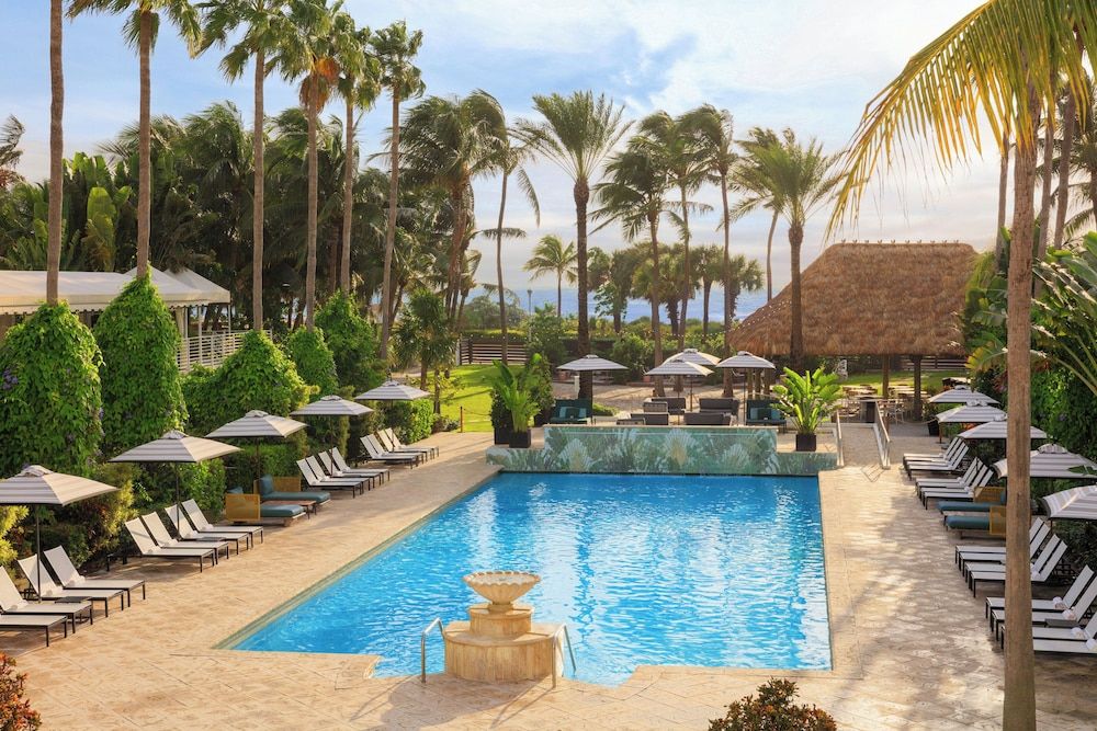 undefined Kimpton Surfcomber Hotel by IHG