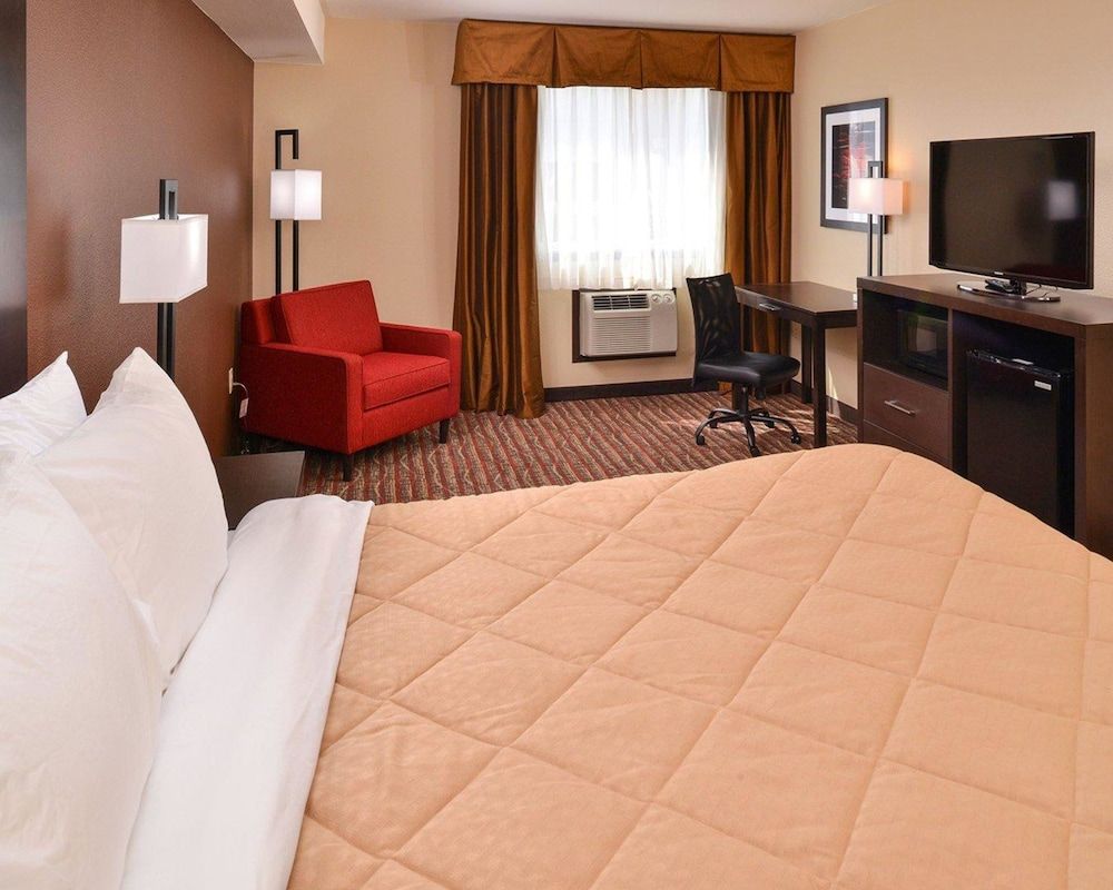 Suite, 1 King Bed (1 Bedroom)