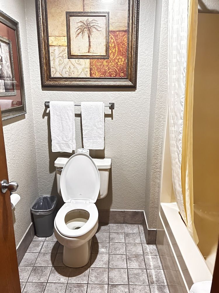 Apple Tree Inn and Suites Standard Room, 1 King Bed 4