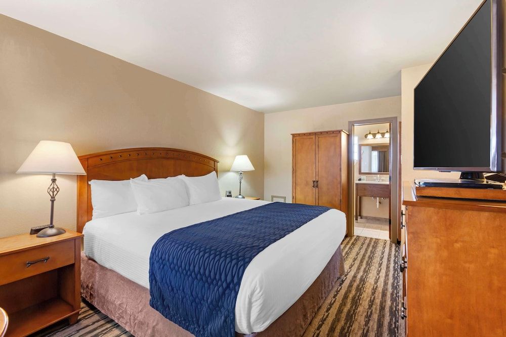 Standard Room, 1 King Bed, Non Smoking, Refrigerator & Microwave (Small Room)