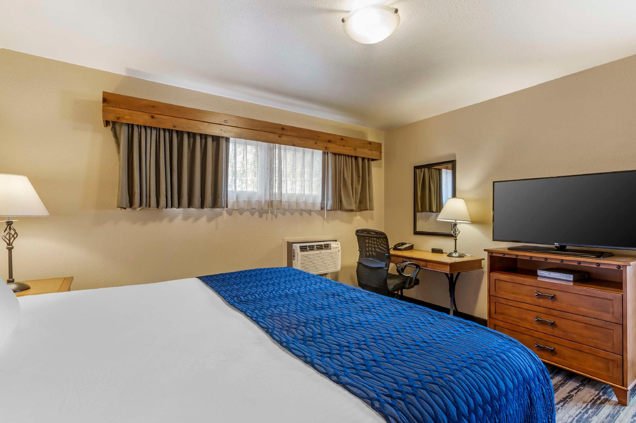 Suite - 1 King Bed, Nonsmoking, Separate Living Area, Sofabed