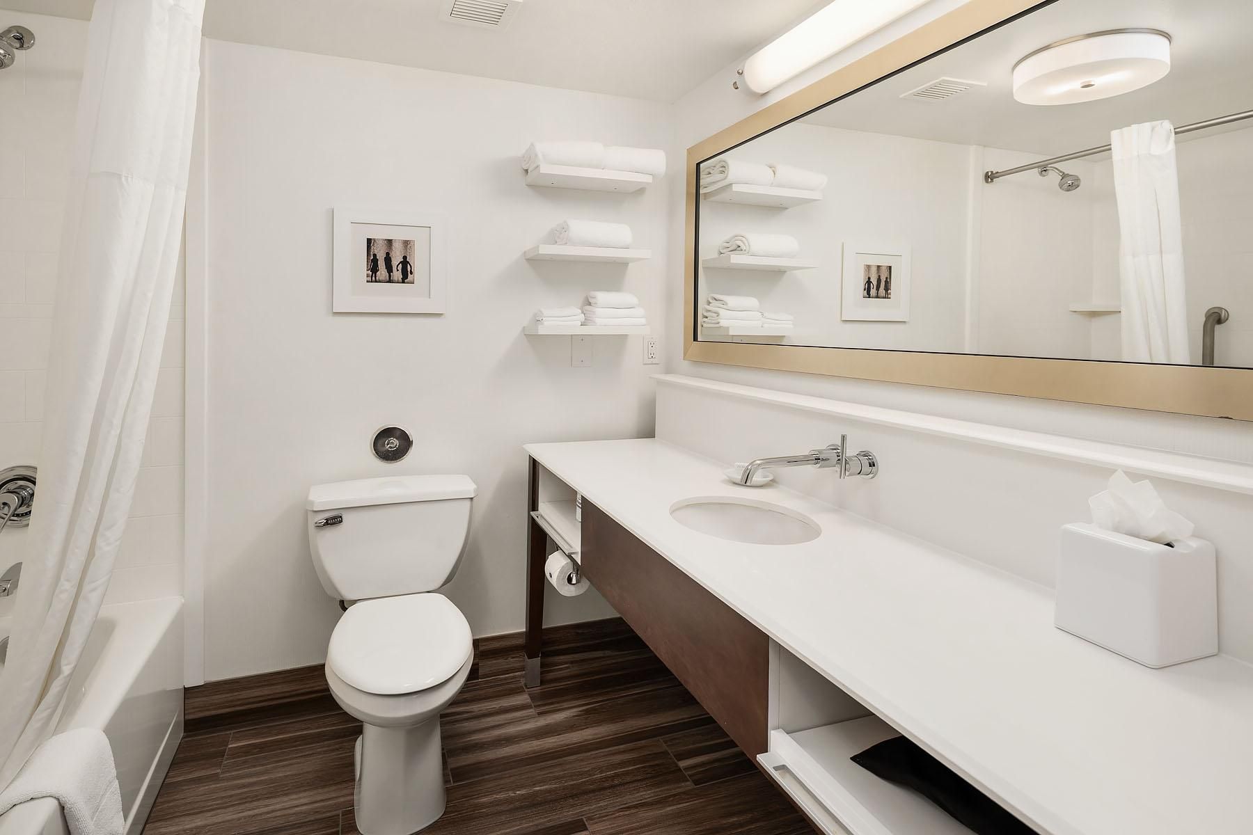 1 KING MOBILITY/HEARING ACCESS W/TUB NONSMOK