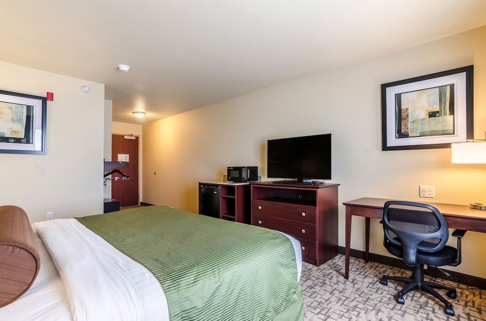 Room, 1 King Bed, Audible Visual Alert, Non Smoking