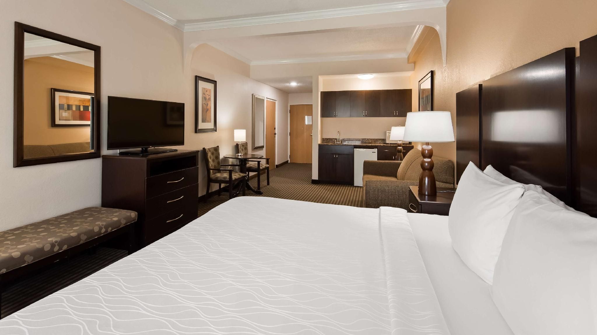 Accessibility - Suite - 1 King Bed, Walk-in Shower, Sofabed, Nonsmoking